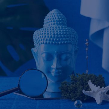 wellness-image